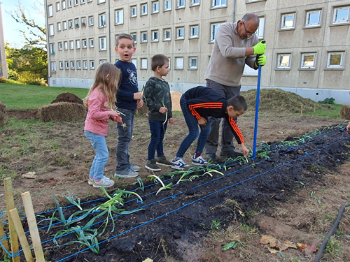plantation de légumes avec des enfants